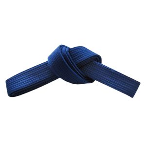 FS-313 Belt