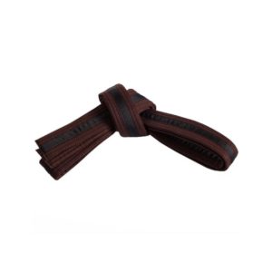 FS-318 Belt