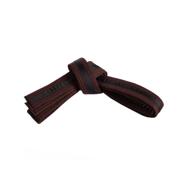 FS-318 Belt