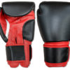 FS-114 Boxing Gloves