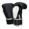 FS-116 Boxing Gloves