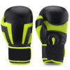FS-120 Boxing Gloves