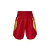 FS-139 Boxing Shorts