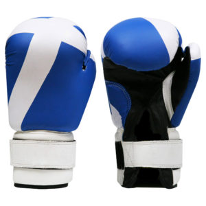 FS-117 Boxing Gloves