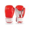 FS-121 Boxing Gloves