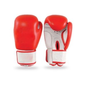 FS-121 Boxing Gloves
