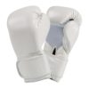 FS-125 Boxing Gloves