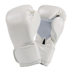 FS-125 Boxing Gloves