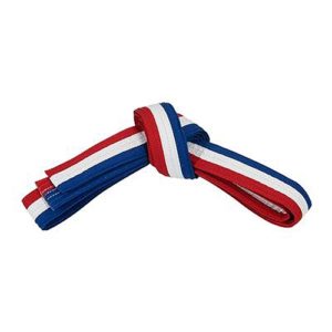 FS-314 Belt