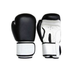 FS-122 Boxing Gloves