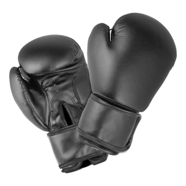 FS-123 Boxing Gloves