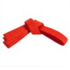 FS-315 Belt.