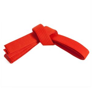 FS-315 Belt.