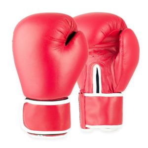 FS-124 Boxing Gloves
