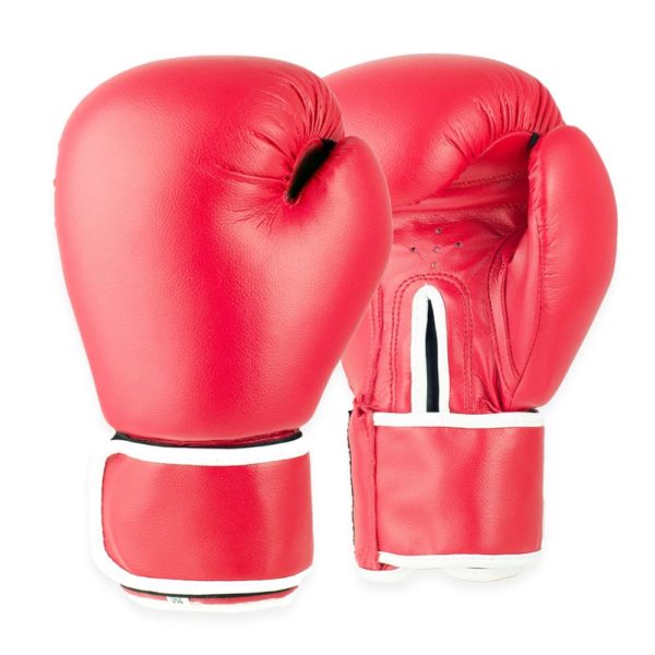FS-124 Boxing Gloves