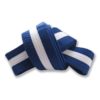 FS-316 Belt