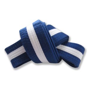 FS-316 Belt