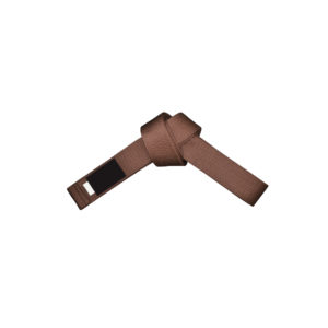 FS-319 Belt