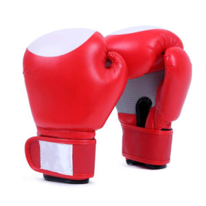 FS-126 Boxing Gloves