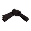 FS-317 Belt