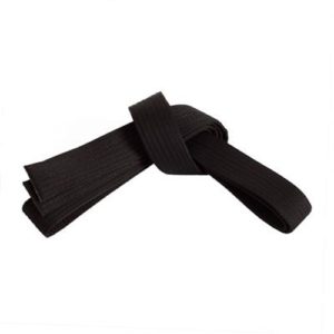 FS-317 Belt