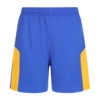 FS-240 Men Workout Shorts