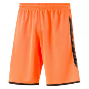 FS-238 Men Workout Shorts