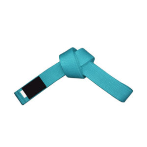 FS-320 Belt